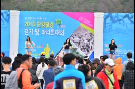  제13회 단양팔경 전국 마라톤대회 개최   기사 이미지
