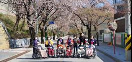 단양노인전문요양원, 어르신들과 벚꽃 나들이 진행 기사 이미지