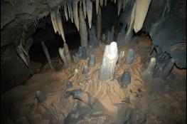 추위야, 가라!…따뜻한 단양 천연동굴 여행지 각광  기사 이미지